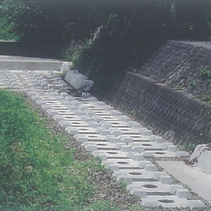 Nagoya River