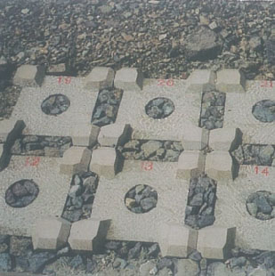 Okoi Tanigawa