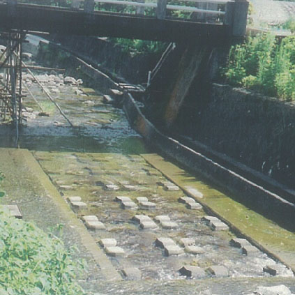 Togo River