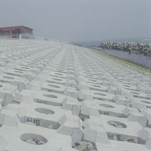 Shiraoi coast