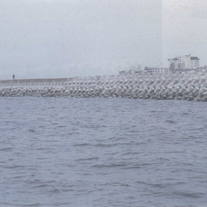 Tarumi Harbor Port